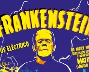 Frankenstein, basado en la novela de Mary Shelley es dirigido por el español Matilde (Javier Ciria) 